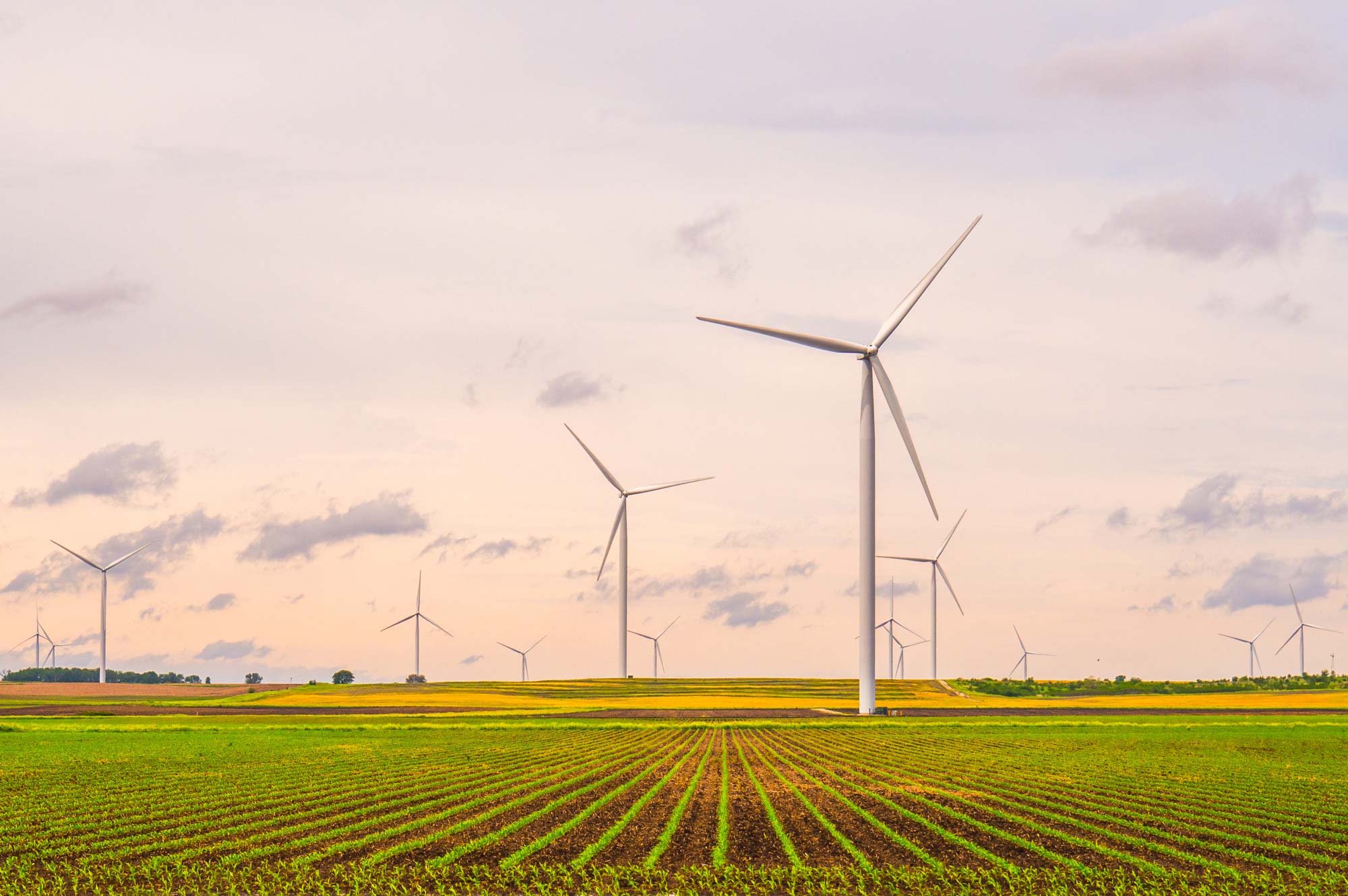 Wind turbines in field across agricultural lands in Midwest