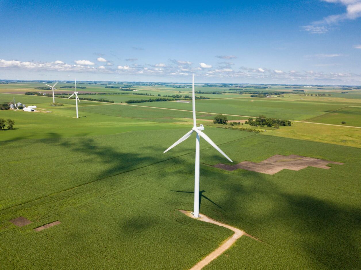 Wind turbine in corn field near established traditional farm